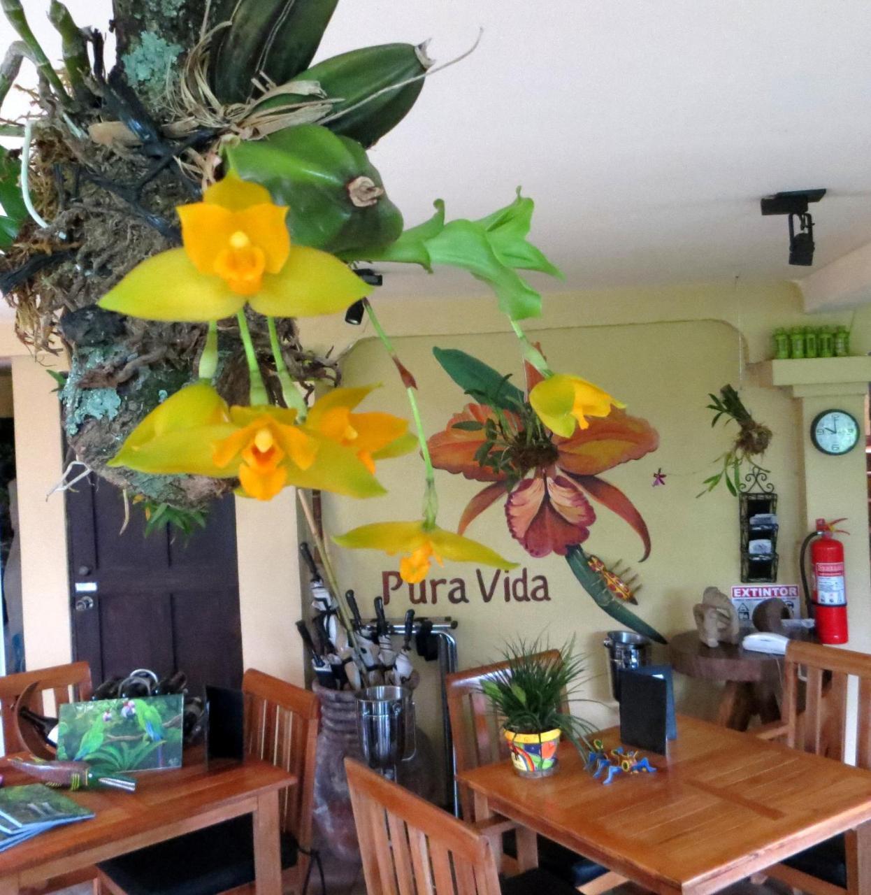 Pura Vida Hotel Alajuela Екстериор снимка